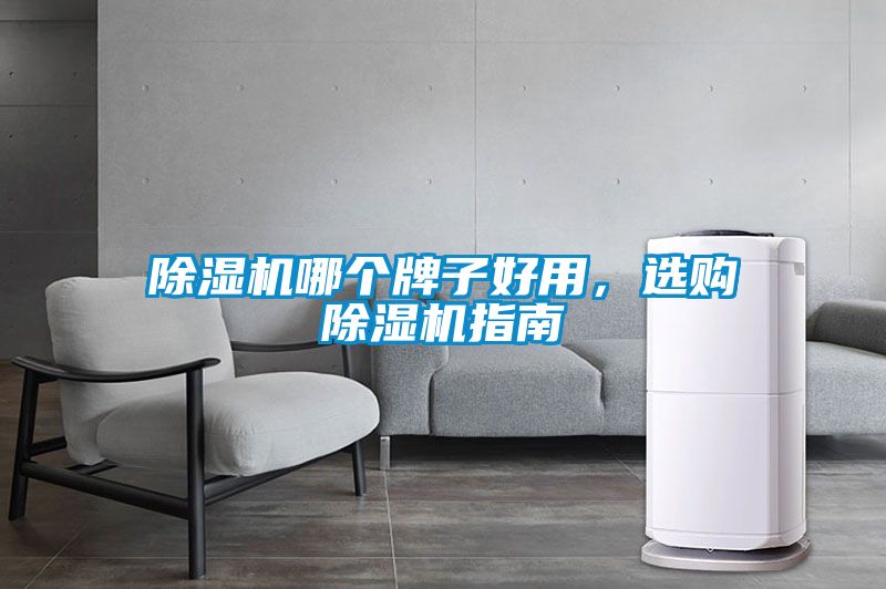 除濕機(jī)哪個牌子好用，選購除濕機(jī)指南