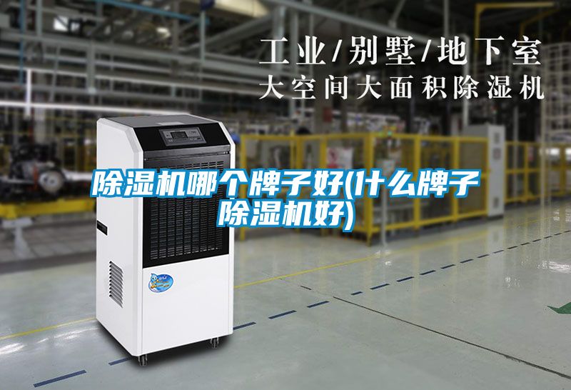 除濕機(jī)哪個牌子好(什么牌子除濕機(jī)好)