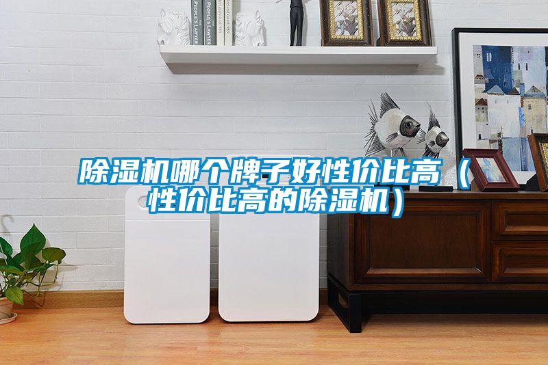 除濕機(jī)哪個牌子好性價比高（性價比高的除濕機(jī)）