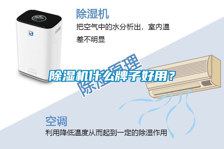 除濕機(jī)什么牌子好用？