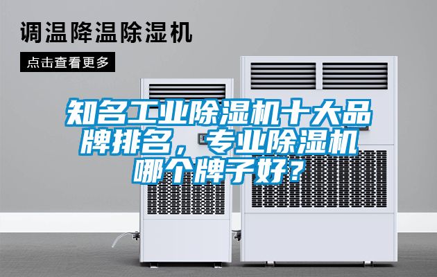 知名工業(yè)除濕機(jī)十大品牌排名，專業(yè)除濕機(jī)哪個(gè)牌子好？