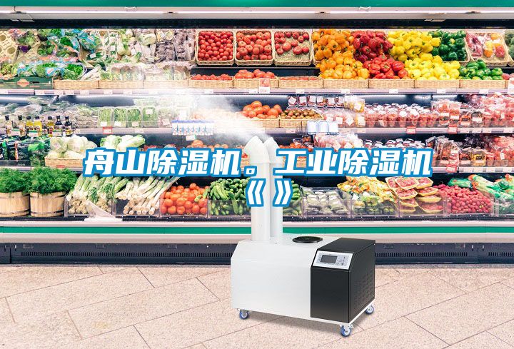 舟山除濕機。工業除濕機《》
