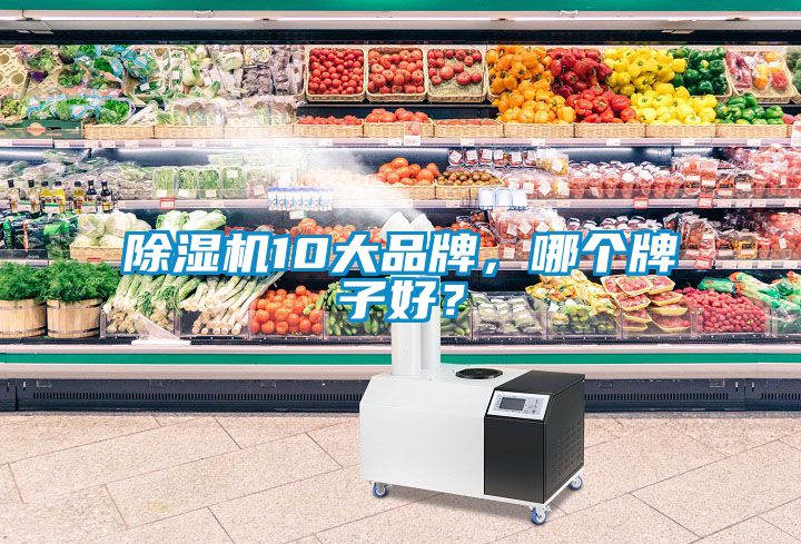除濕機10大品牌,哪個牌子好?
