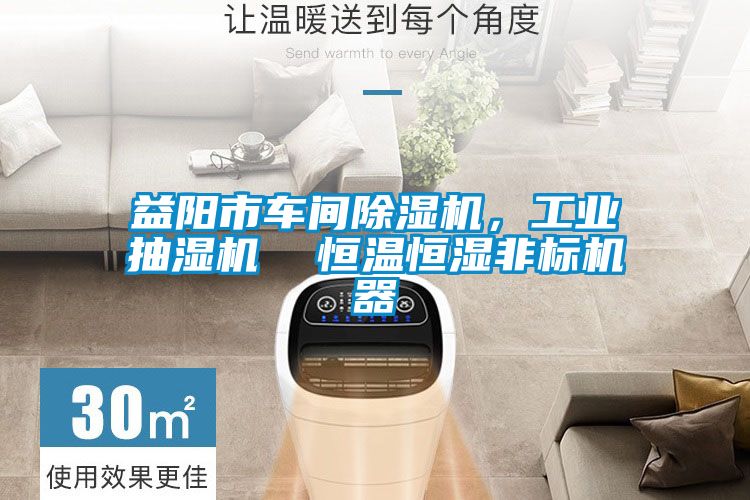益陽市車間除濕機，工業(yè)抽濕機  恒溫恒濕非標機器