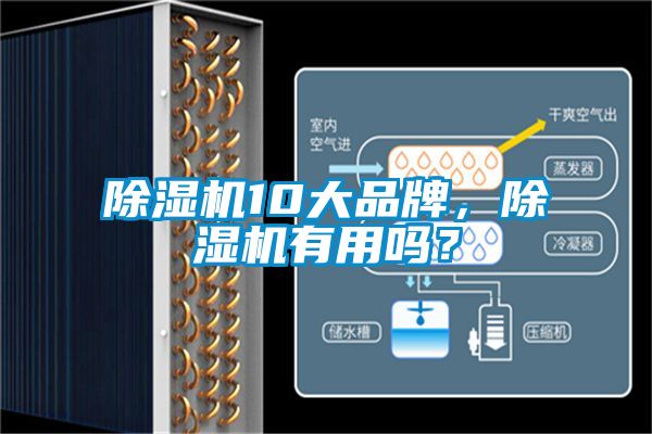除濕機(jī)10大品牌，除濕機(jī)有用嗎？