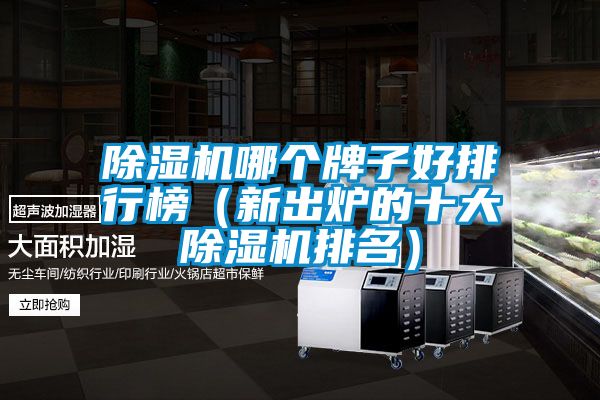 除濕機(jī)哪個牌子好排行榜（新出爐的十大除濕機(jī)排名）