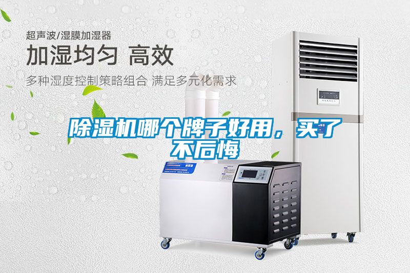 除濕機(jī)哪個牌子好用，買了不后悔