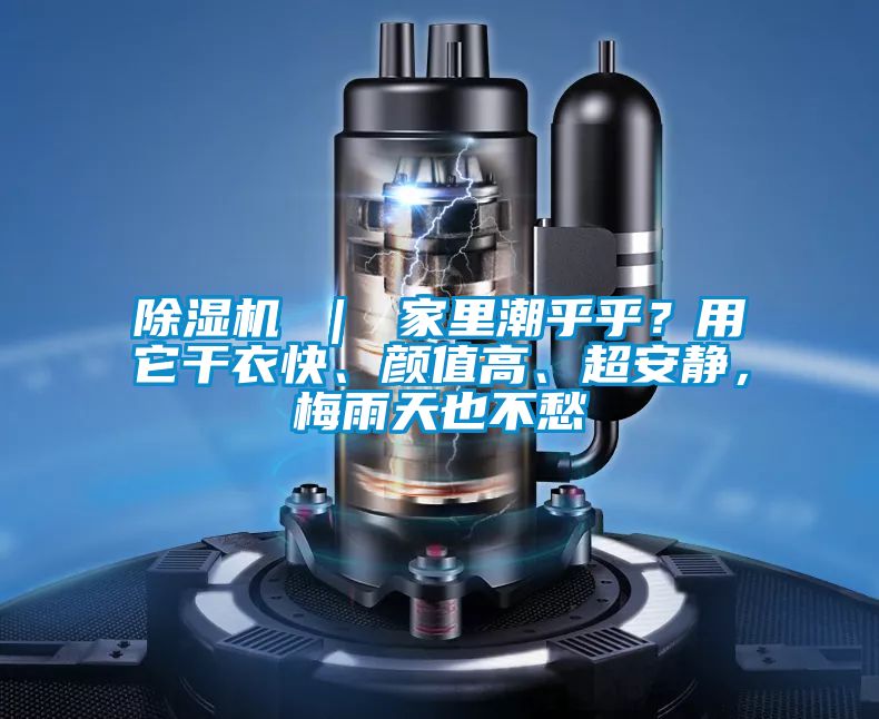 除濕機 | 家里潮乎乎?用它干衣快、顏值高、超安靜,梅雨天也不愁