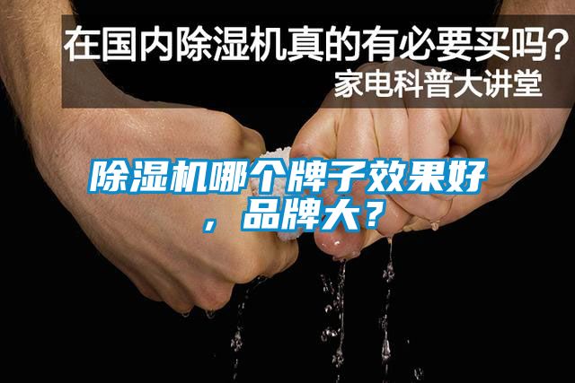 除濕機哪個牌子效果好，品牌大？