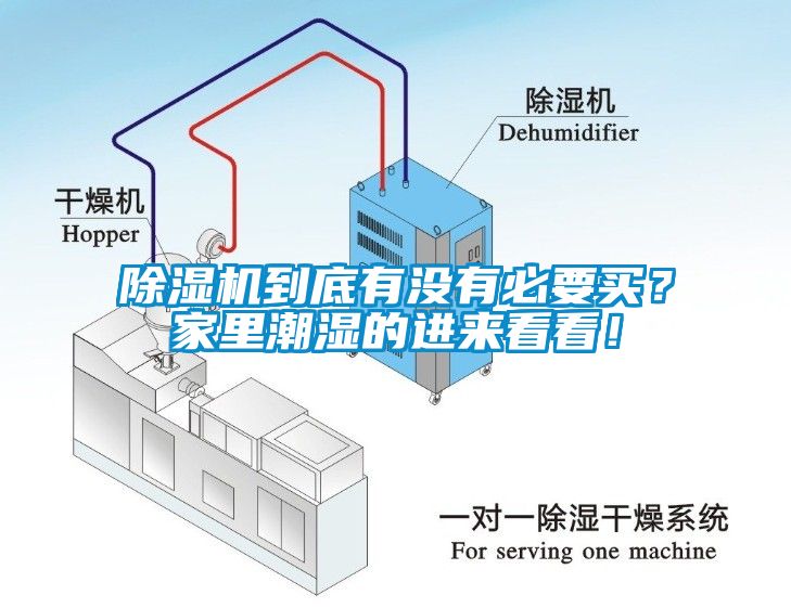 除濕機到底有沒有必要買？家里潮濕的進來看看！