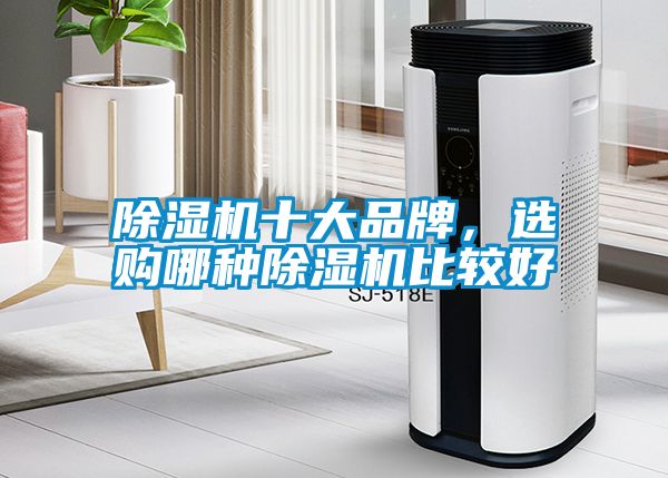 除濕機(jī)十大品牌，選購(gòu)哪種除濕機(jī)比較好