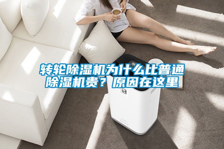 轉輪除濕機為什么比普通除濕機貴？原因在這里