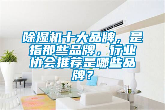 除濕機(jī)十大品牌，是指那些品牌，行業(yè)協(xié)會推薦是哪些品牌？