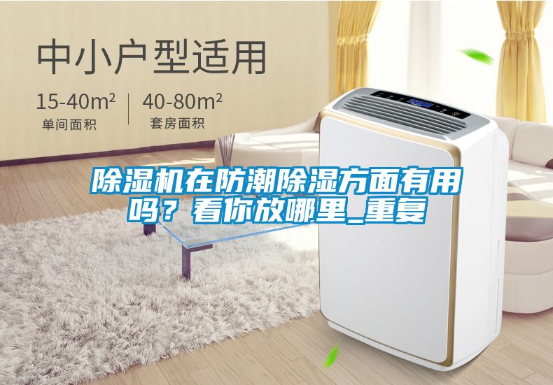 除濕機(jī)在防潮除濕方面有用嗎？看你放哪里_重復(fù)
