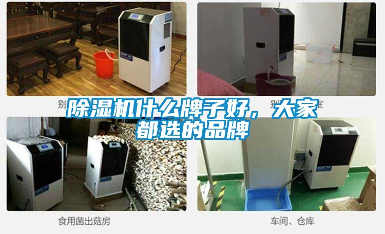 除濕機什么牌子好，大家都選的品牌