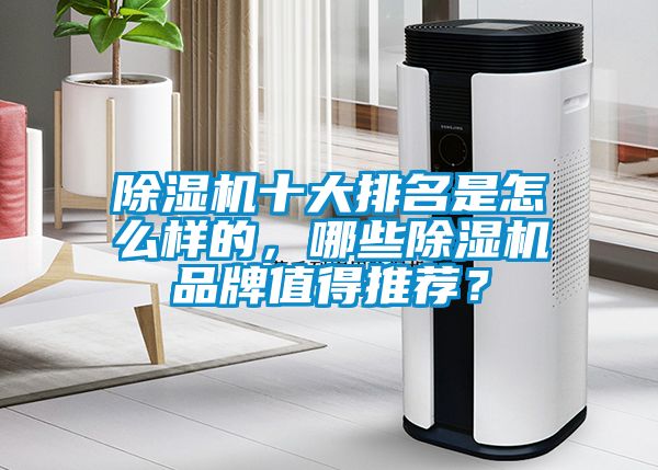 除濕機十大排名是怎么樣的，哪些除濕機品牌值得推薦？