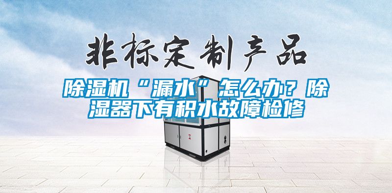 除濕機“漏水”怎么辦？除濕器下有積水故障檢修