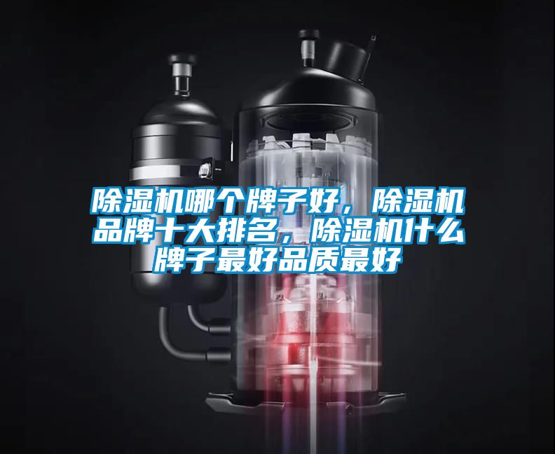 除濕機(jī)哪個(gè)牌子好，除濕機(jī)品牌十大排名，除濕機(jī)什么牌子最好品質(zhì)最好