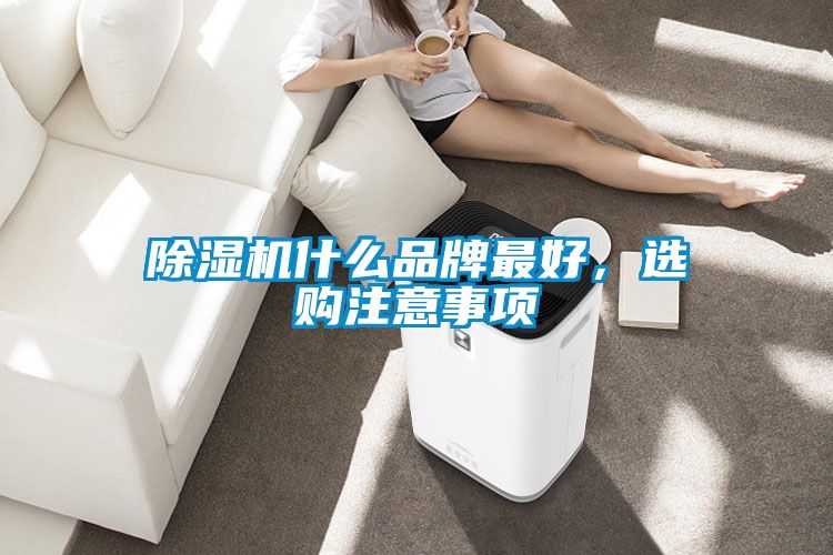 除濕機什么品牌最好，選購注意事項