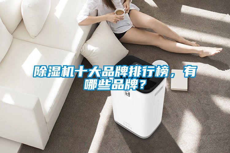 除濕機(jī)十大品牌排行榜，有哪些品牌？