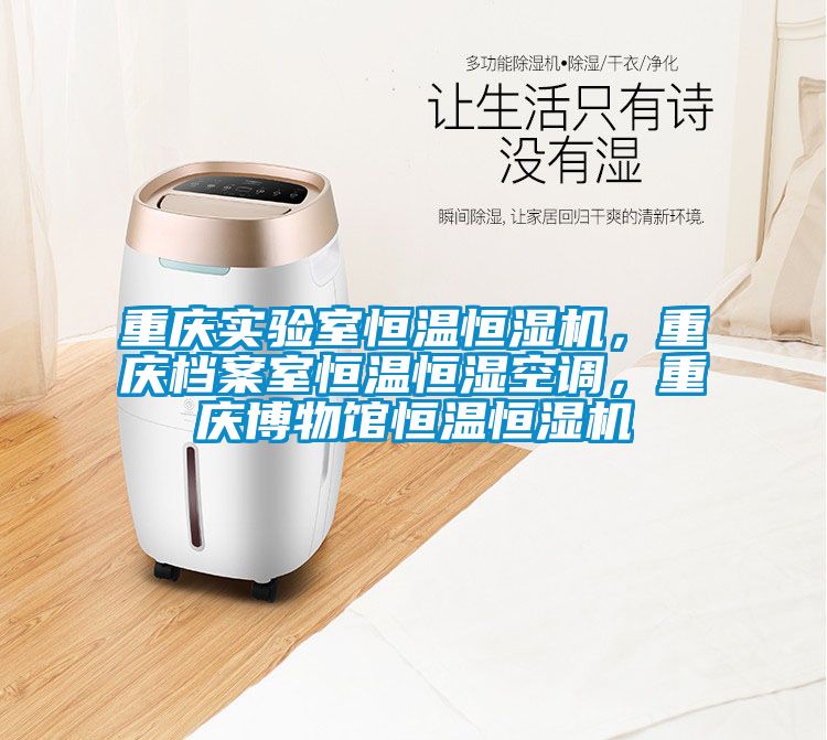 重慶實驗室恒溫恒濕機，重慶檔案室恒溫恒濕空調，重慶博物館恒溫恒濕機