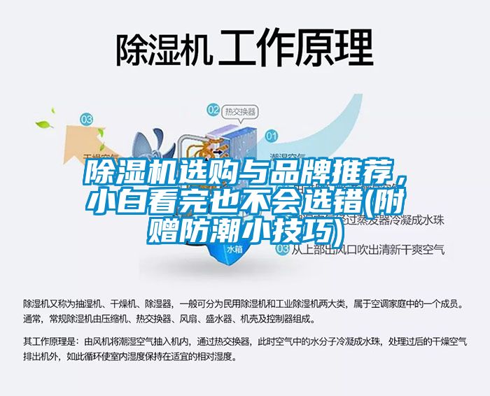 除濕機(jī)選購與品牌推薦，小白看完也不會選錯(附贈防潮小技巧)