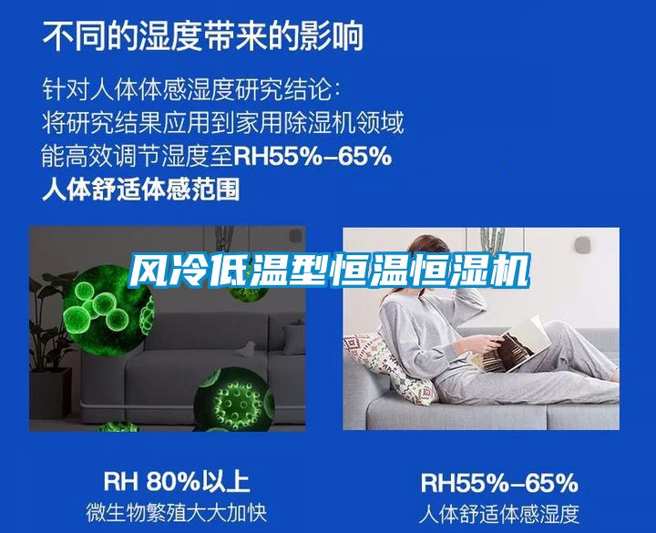 風(fēng)冷低溫型恒溫恒濕機