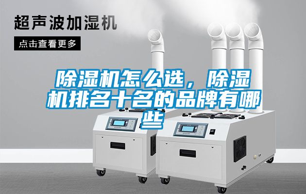 除濕機怎么選，除濕機排名十名的品牌有哪些