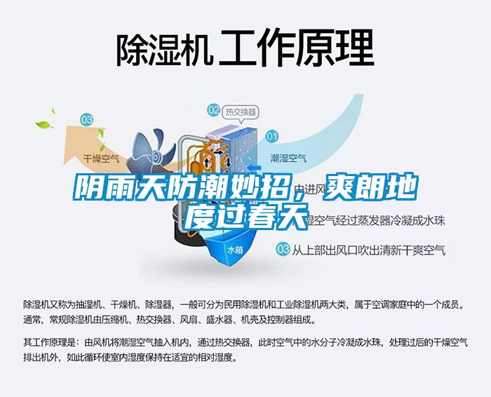 陰雨天防潮妙招，爽朗地度過春天