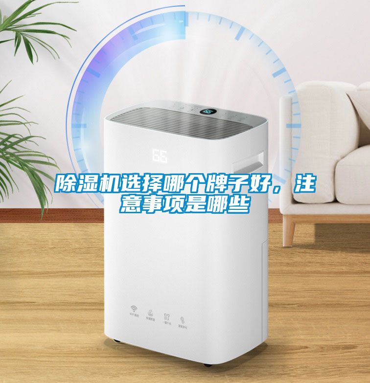 除濕機選擇哪個牌子好，注意事項是哪些