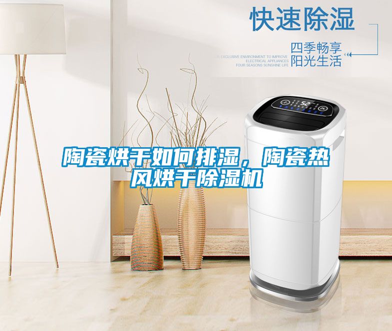 陶瓷烘干如何排濕，陶瓷熱風(fēng)烘干除濕機