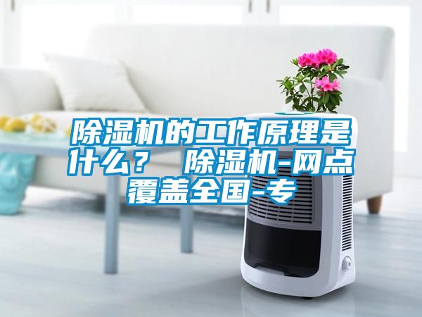 除濕機(jī)的工作原理是什么？ 除濕機(jī)-網(wǎng)點(diǎn)覆蓋全國(guó)-專