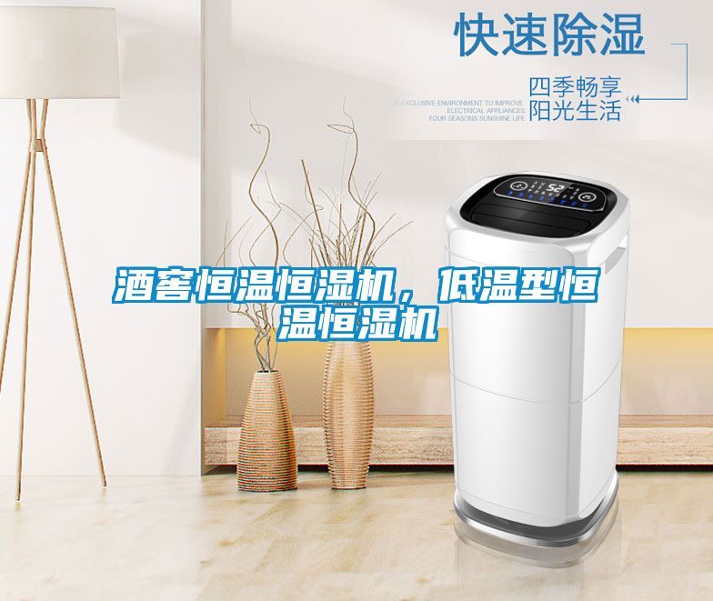 酒窖恒溫恒濕機，低溫型恒溫恒濕機
