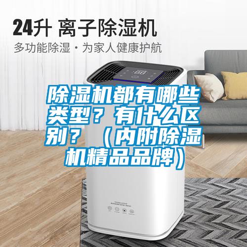 除濕機都有哪些類型？有什么區(qū)別？（內附除濕機精品品牌）