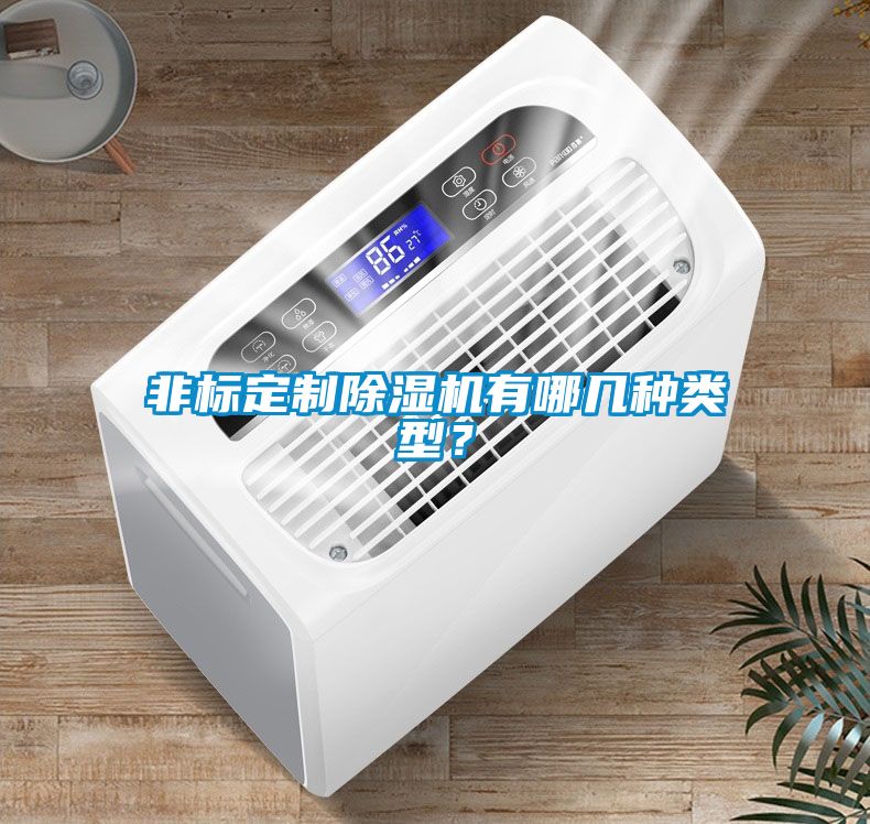 非標(biāo)定制除濕機(jī)有哪幾種類型？
