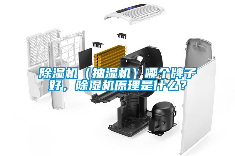 除濕機(jī)（抽濕機(jī)）哪個(gè)牌子好，除濕機(jī)原理是什么？