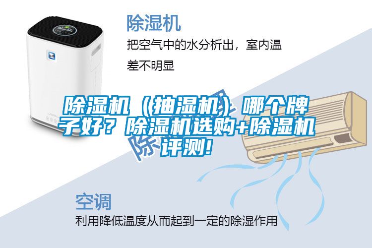 除濕機(jī)（抽濕機(jī)）哪個(gè)牌子好？除濕機(jī)選購+除濕機(jī)評測!
