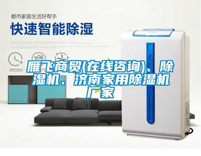 雁飛商貿(在線咨詢)、除濕機、濟南家用除濕機廠家