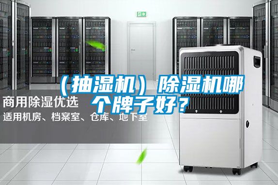 （抽濕機）除濕機哪個牌子好？