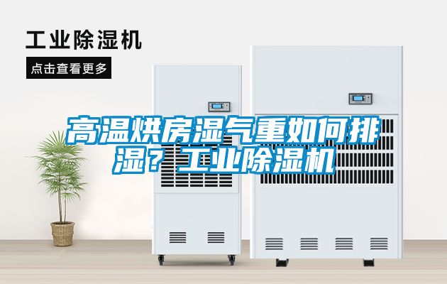 高溫烘房濕氣重如何排濕？工業除濕機